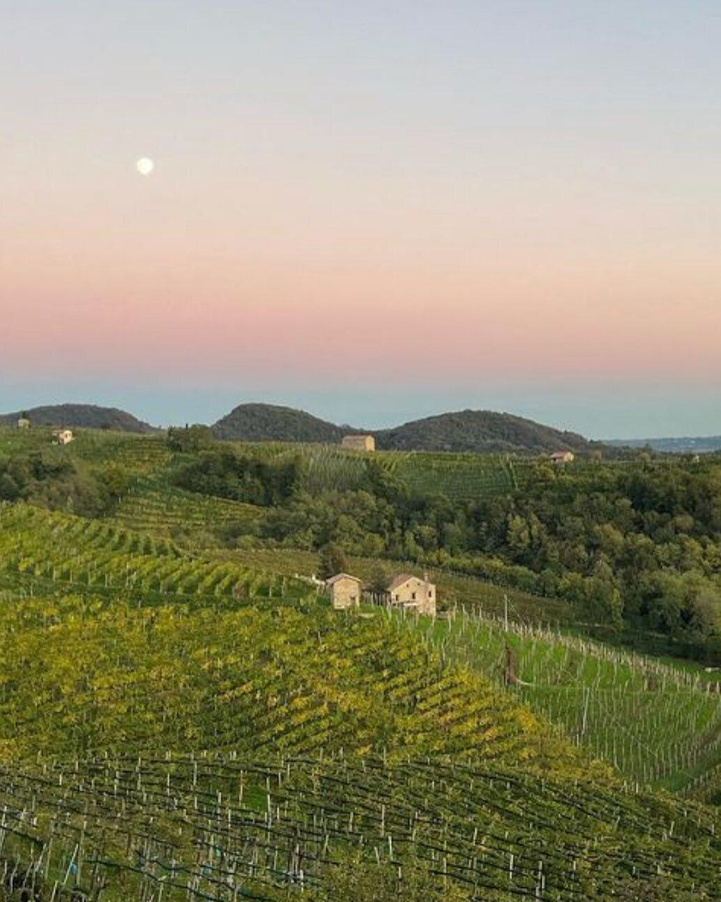Osteria alla terrazza valdobbiadene